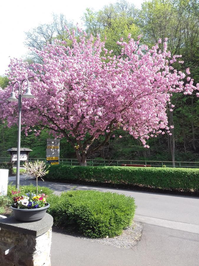 Gaestehaus Viktoria 巴特贝特里希 外观 照片